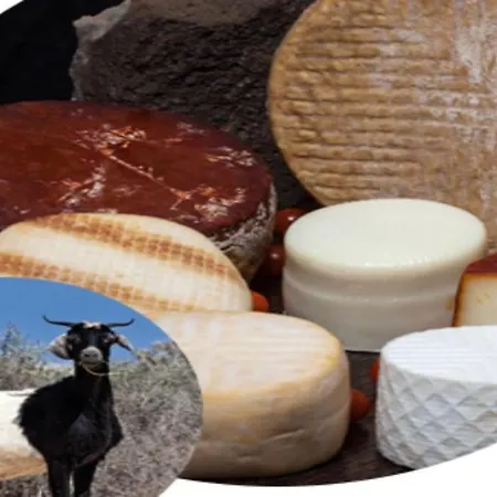 Juana Διαμέρισμα