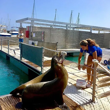 Διαμέρισμα Juana